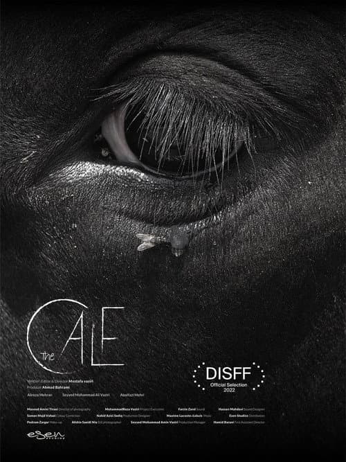 Постер: The Calf