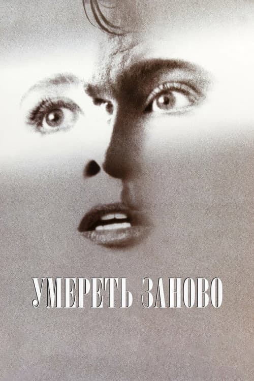 Постер 5