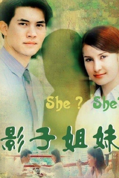 Постер: แรงเงา