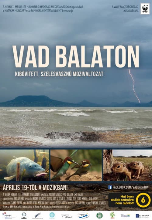 Постер: Vad Balaton