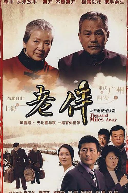 Постер: 老伴