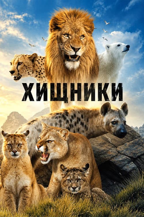 Постер: Хищники