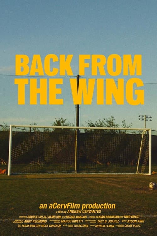 Постер: Back from the Wing