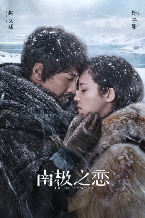 Постер: 南极之恋