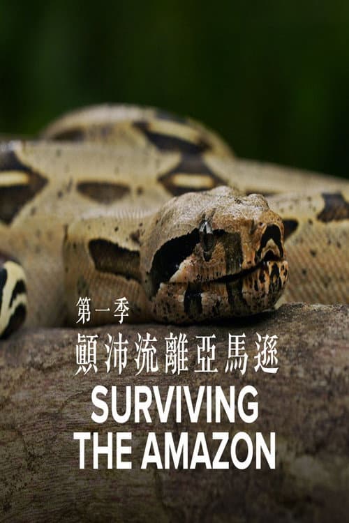 Постер: Surviving the Amazon