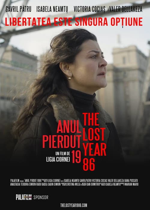 Постер: Anul pierdut 1986