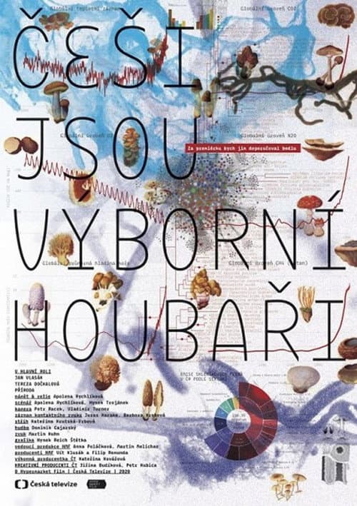Постер: Češi jsou výborní houbaři