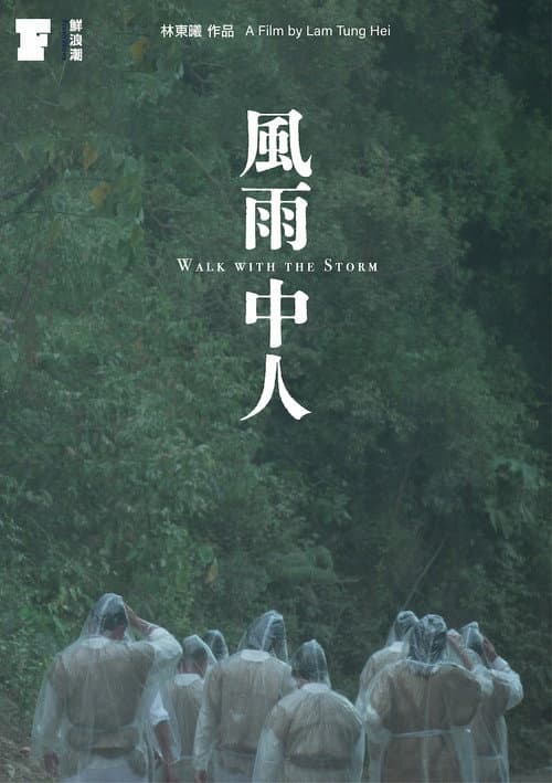 Постер: 風雨中人