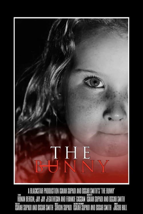 Постер: The Bunny