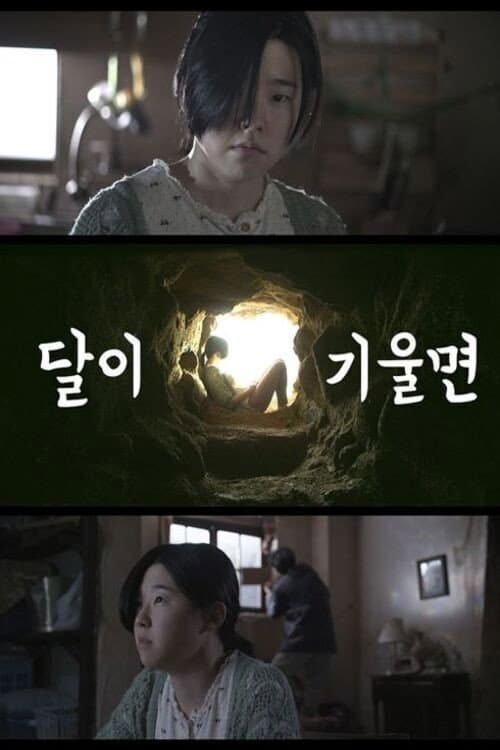 Постер: 달이 기울면