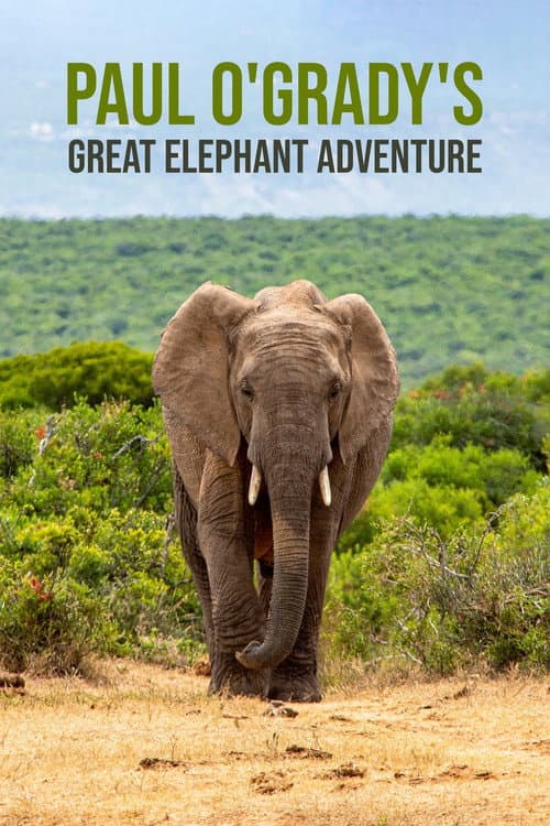 Постер: Paul O'Grady's Great Elephant Adventure