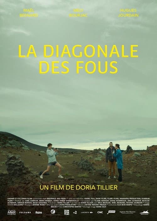 Постер: La diagonale des fous