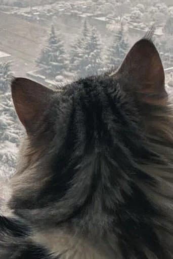李李