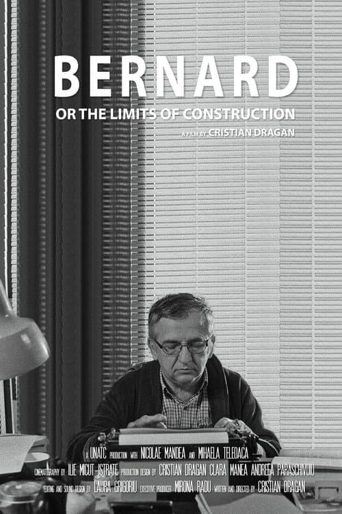 Постер: Bernard sau limitele construcției