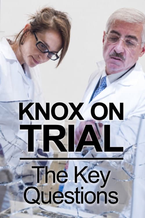 Постер: Amanda Knox Trial: 5 Key Questions