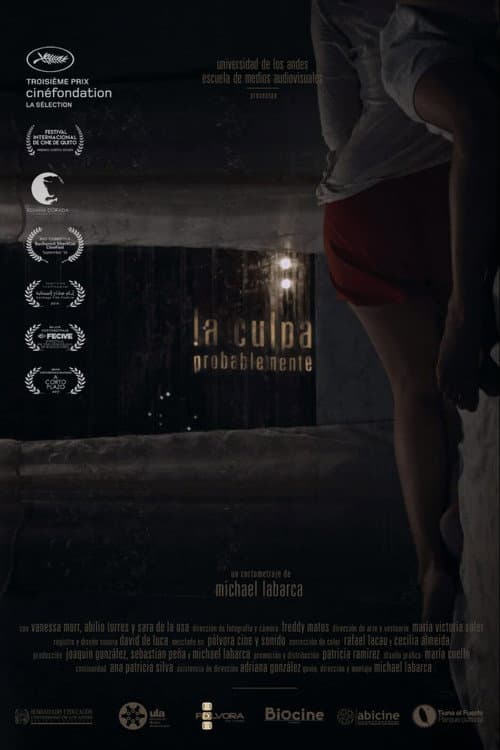 Постер: La Culpa, Probablemente