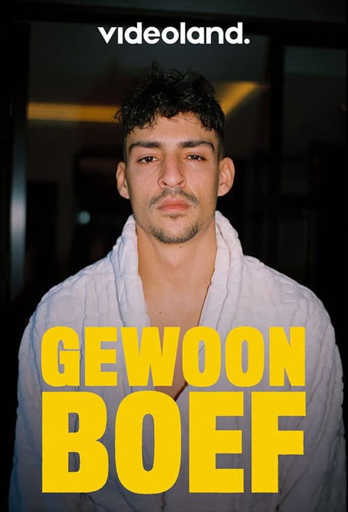 Постер: Gewoon Boef