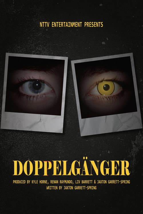 Постер: Doppelgänger