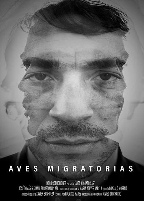 Постер: Aves migratorias