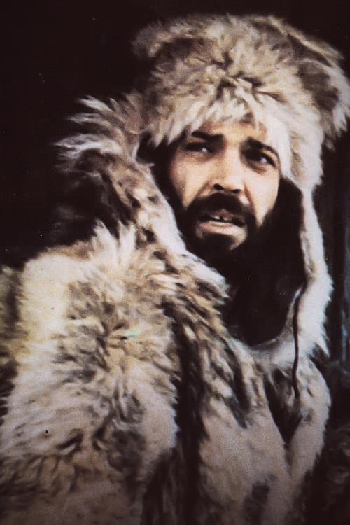 Постер: L'avventura del grande Nord