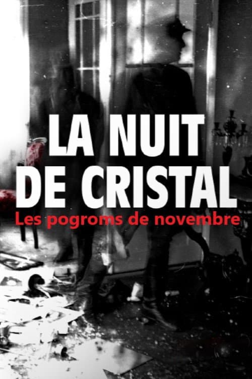 Постер: La Nuit de cristal : Les pogroms de novembre
