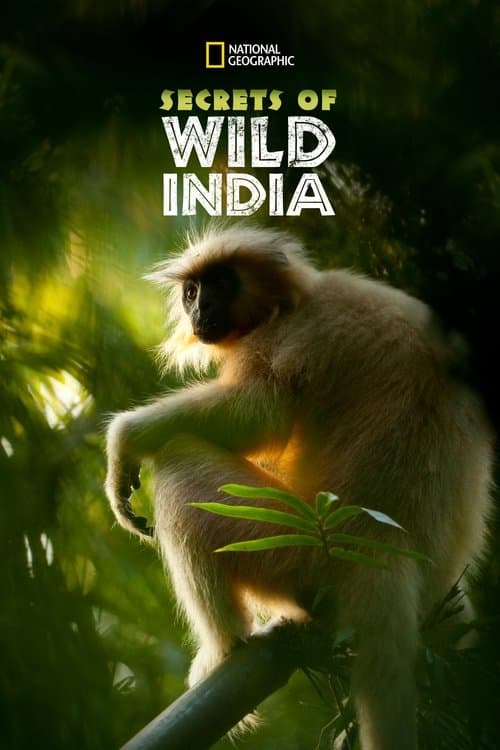 Постер: Secrets of Wild India