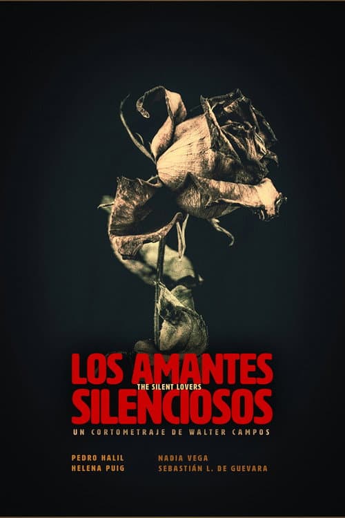 Постер: Los amantes silenciosos