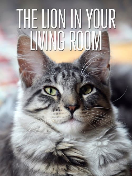 Постер: The Lion In Your Living Room