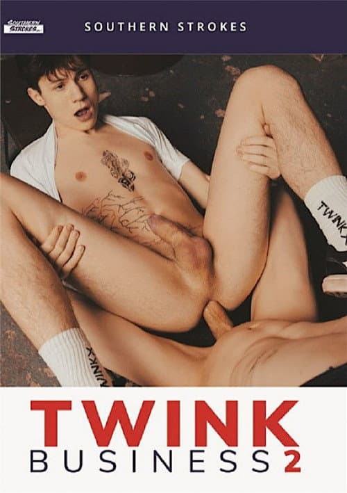 Постер: Twink Business 2
