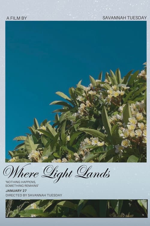 Постер: Where Light Lands