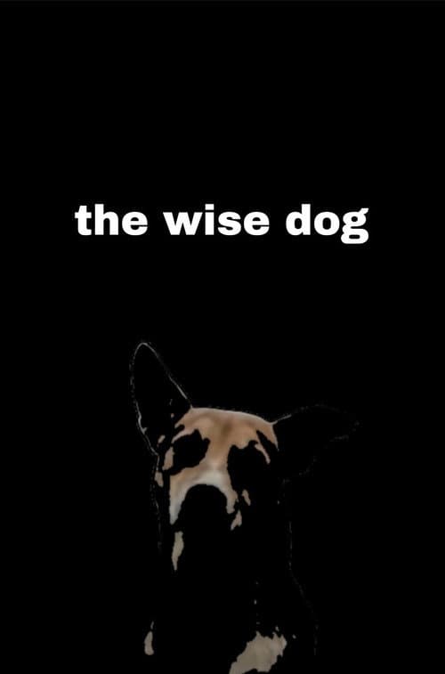Постер: the wise dog