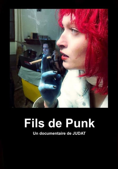 Постер: Fils de Punk