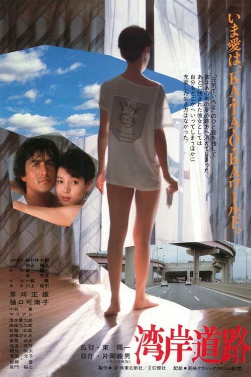 Постер: 湾岸道路