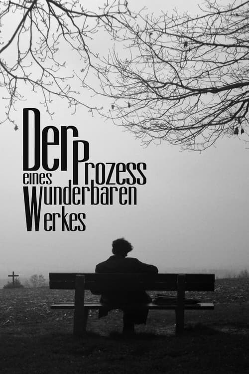 Постер: Der Prozess eines wunderbaren Werkes