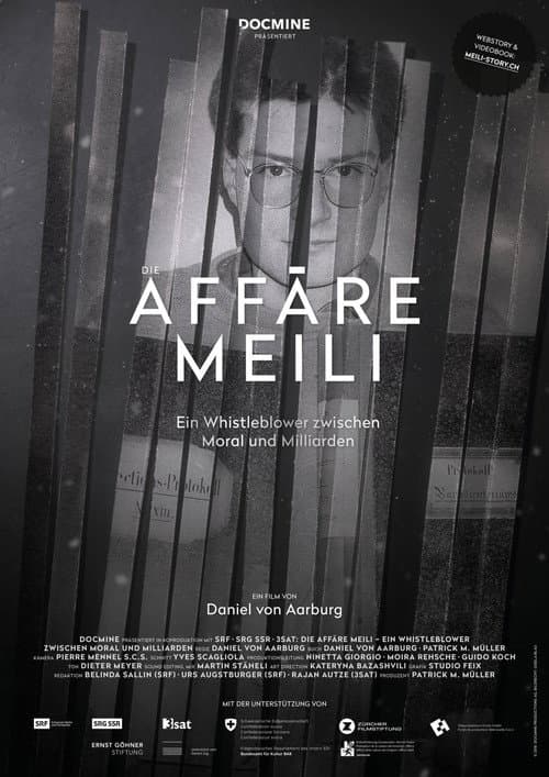 Постер: Die Affäre Meili