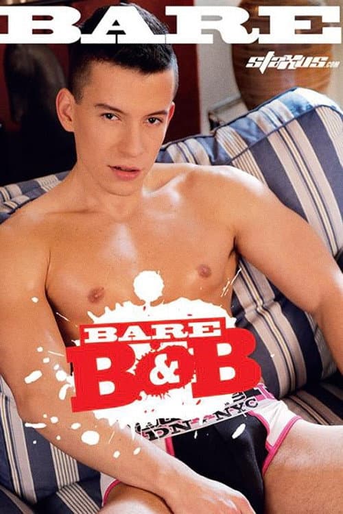 Постер: Bare B&B