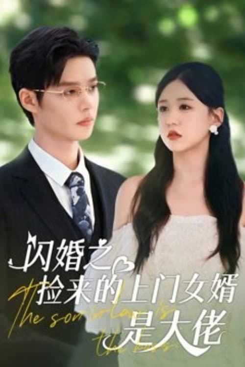 Постер: 闪婚之捡来的上门女婿是大佬
