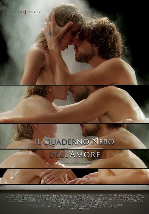 Постер: Il quaderno nero dell'amore