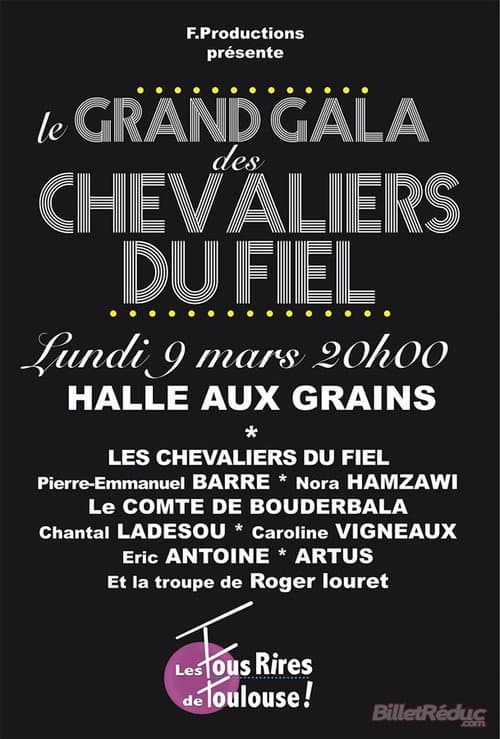 Постер: Le grand gala des Chevaliers du Fiel
