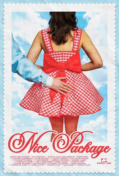 Постер: Nice Package