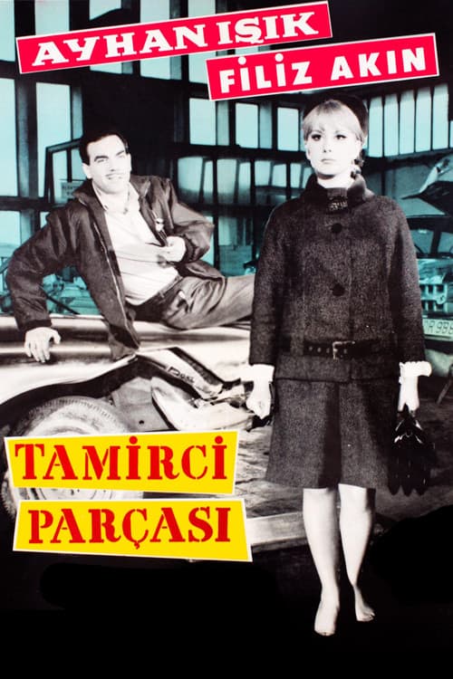 Постер: Tamirci Parçası