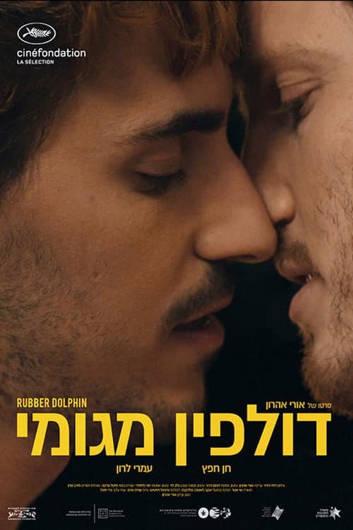 Постер: דולפין מגומי