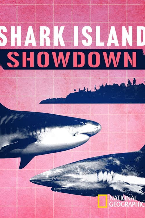 Постер: Shark Island Showdown