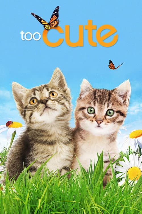 Постер: Too Cute