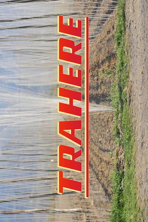 Постер: Trahere
