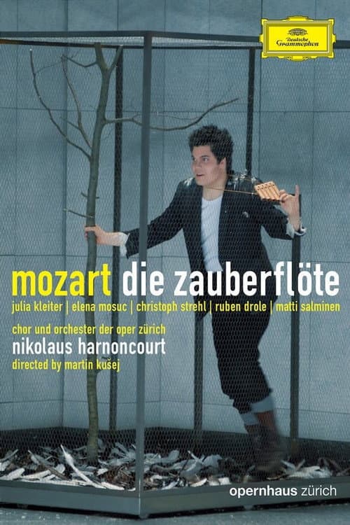 Постер: Die Zauberflöte