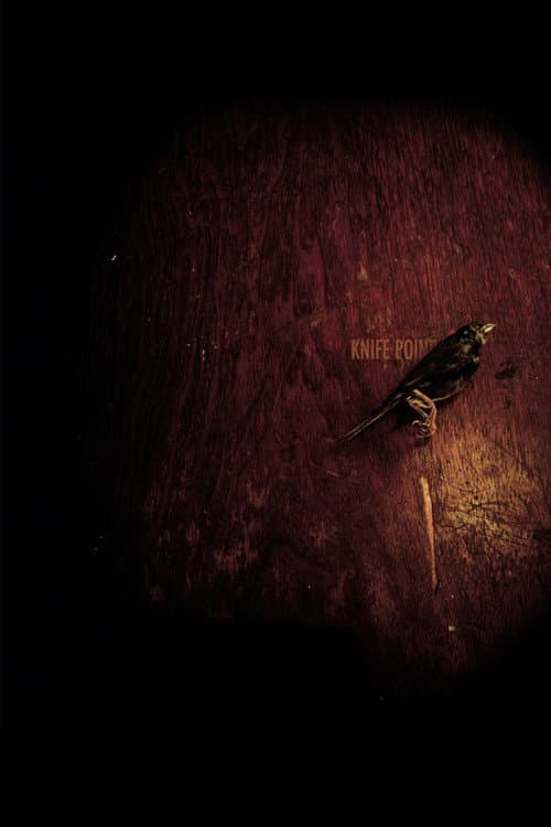 Постер: Knife Point