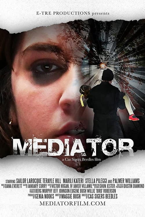 Постер: Mediator