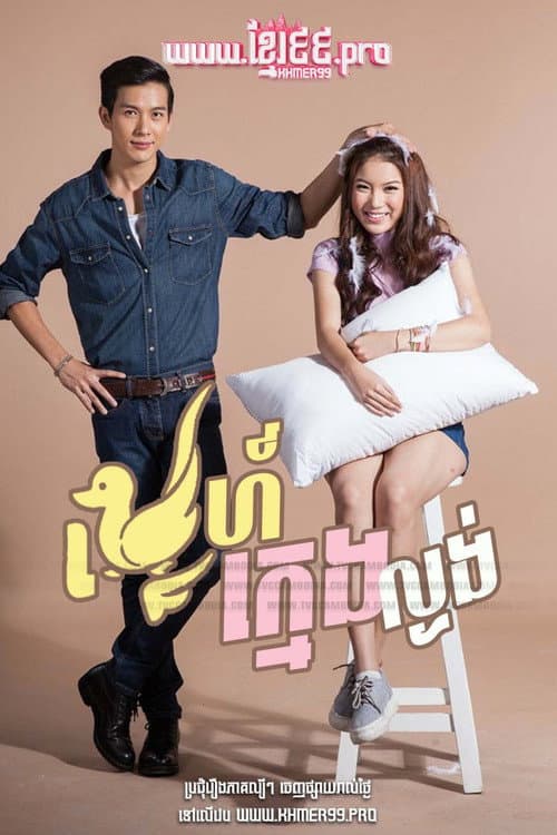 Постер: รักนะเป็ดโง่