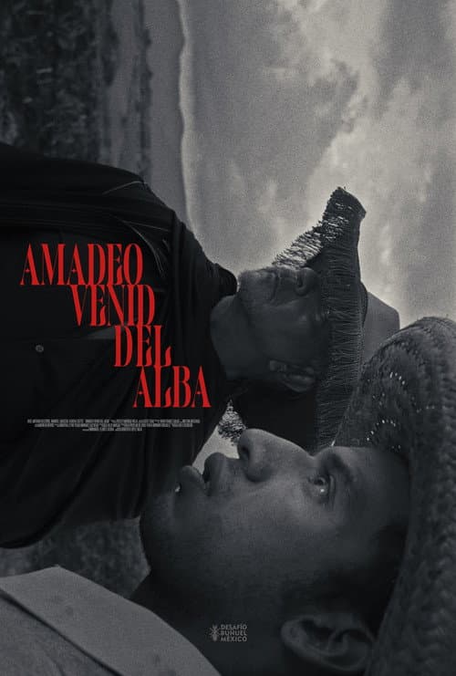 Постер: Amadeo Venid del Alba